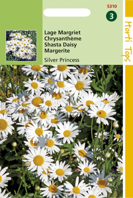 Daisy Silver Princess (Leucanthemum) 450 seeds